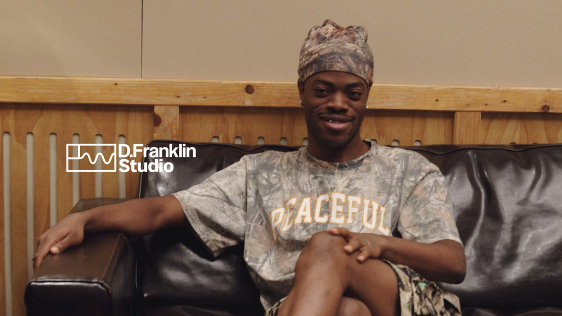 D.Franklin Studio: Brocki