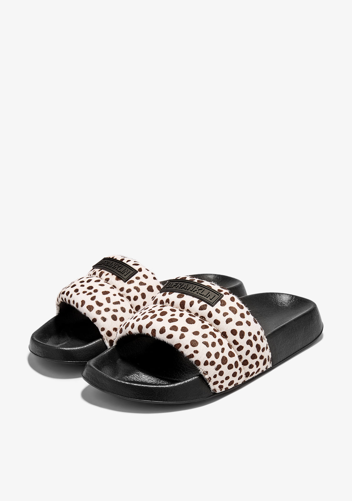 Venice Slides Dotts Pony