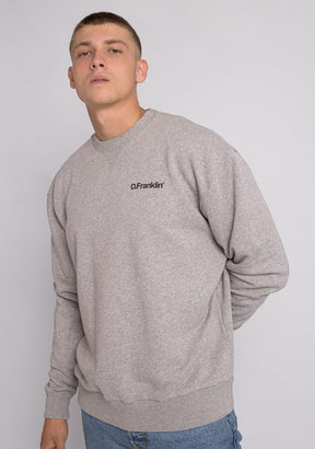 Sweatshirt Oversized D.Franklin Basic Grey